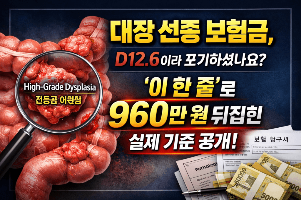 대장 선종 보험금 D12.6 코드에서도 고등급 이형성으로 960만 원 보상 가능성을 설명하는 썸네일 이미지