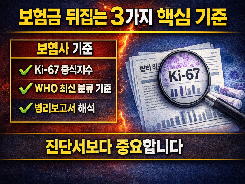 췌장 신경내분비종양 보험금 Ki-67 WHO 기준으로 100% 지급 판단