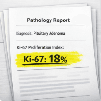 “뇌하수체 선종 보험금 Ki-67 병리 지표”