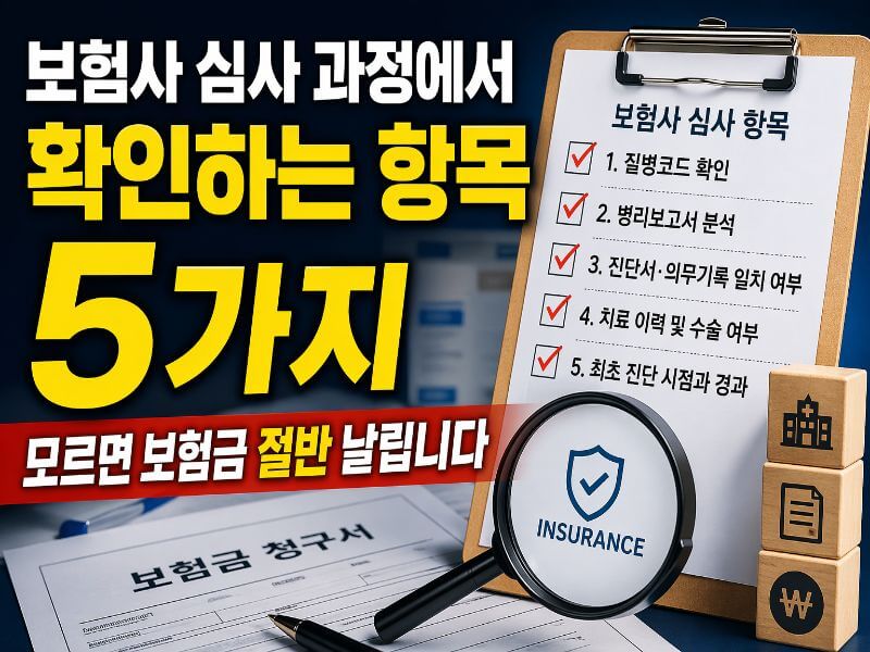 보험사 심사 과정에서 확인하는 항목 5가지와 보험금 차이를 설명한 체크리스트 이미지