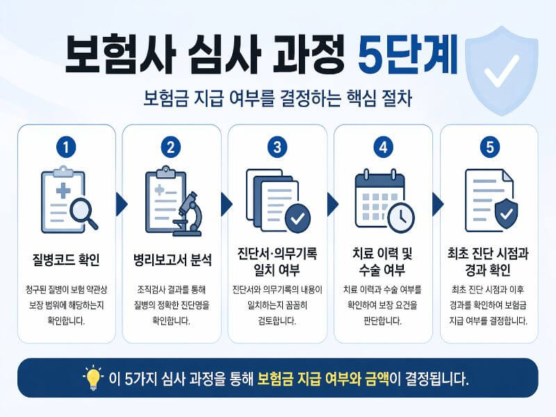 보험사 심사 과정 5단계 전체 흐름과 보험금 지급 기준을 설명하는 이미지