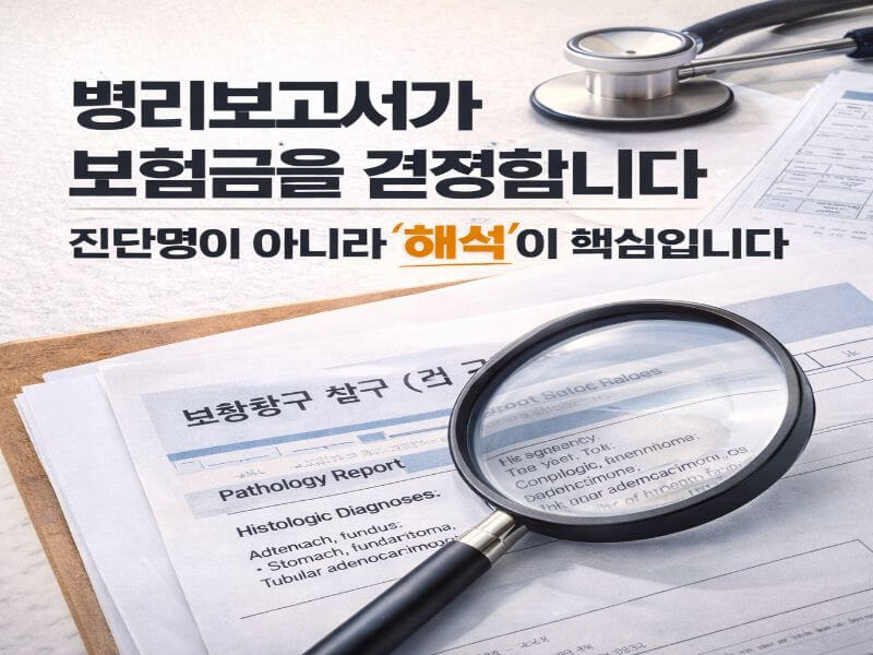 병리보고서 보험금 결정 이미지