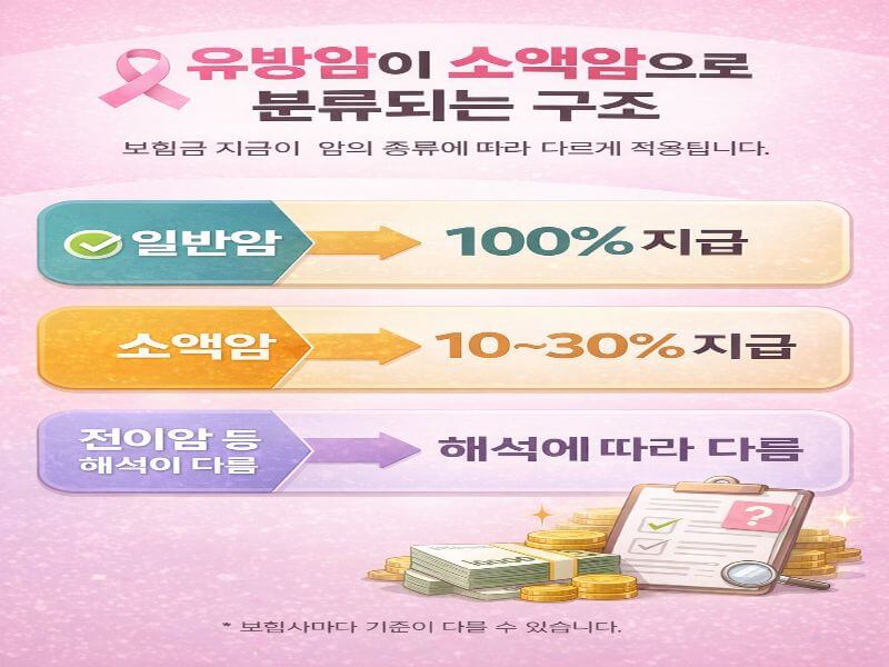 유방암 소액암 보험금은 일반암과 달리 지급 비율이 낮게 적용될 수 있습니다.