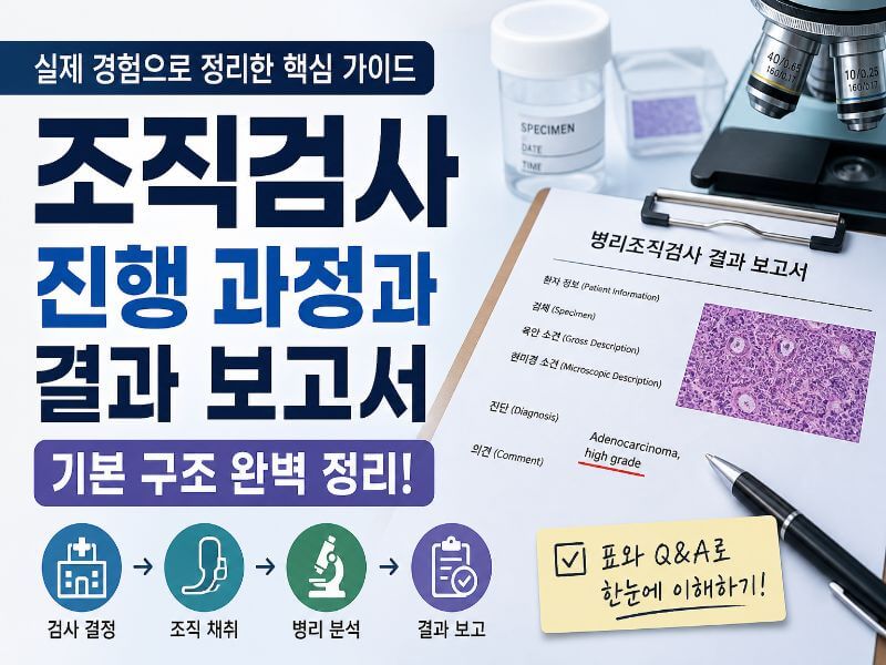조직검사 결과 보고서 진행 과정과 구조 설명 이미지